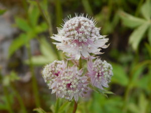 DSCN2505.JPG