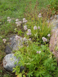 DSCN2506.JPG