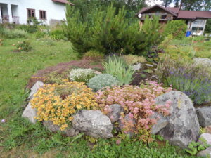 DSCN2545.JPG