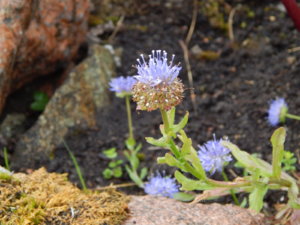 DSCN2751.JPG