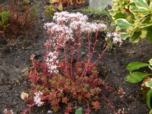 DSCN2753.JPG