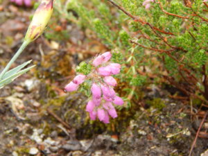 DSCN2755.JPG