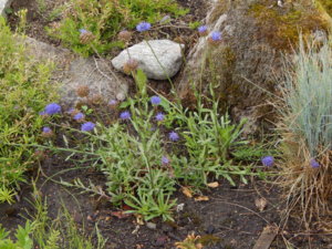 DSCN2757.JPG