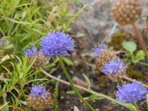 DSCN2758.JPG