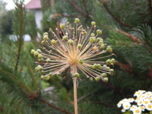DSCN2846.JPG