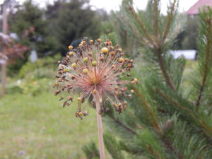 DSCN2847.JPG