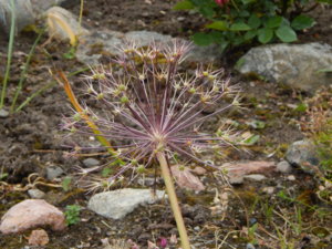 DSCN2848.JPG