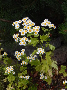 DSCN2844.JPG