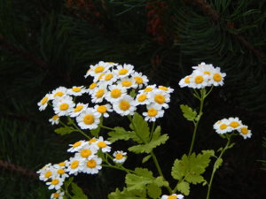 DSCN2845.JPG