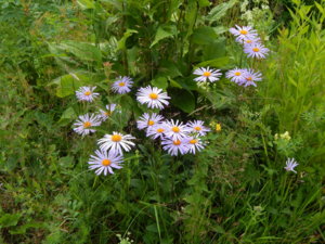 DSCN2555.JPG