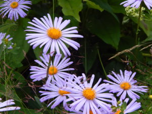 DSCN2556.JPG