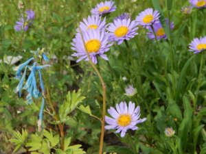 DSCN0615.JPG