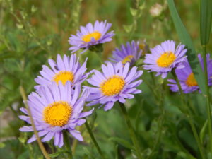 DSCN0616.JPG