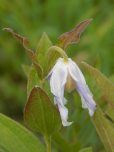 DSCN2540.JPG
