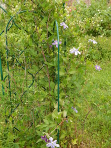 DSCN2769.JPG