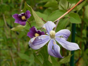DSCN2770.JPG