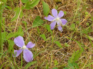 DSCN2771.JPG
