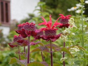 DSCN2783.JPG