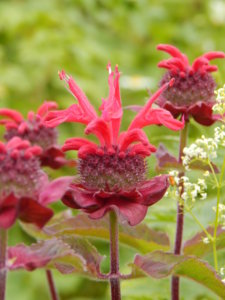 DSCN2784.JPG