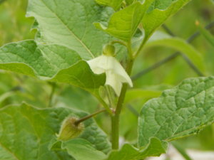 DSCN2738.JPG