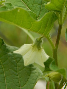 DSCN2740.JPG