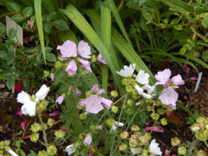 DSCN2476.JPG