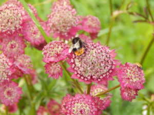 DSCN2731.JPG