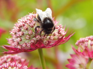 DSCN2733.JPG