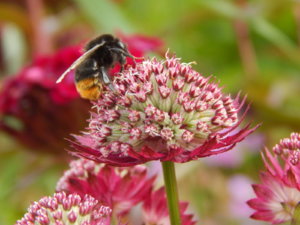 DSCN2736.JPG