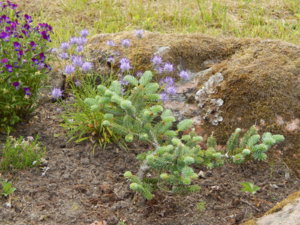 DSCN0677.JPG