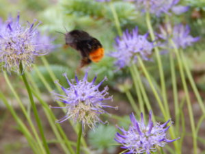 DSCN0679.JPG
