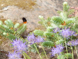 DSCN0682.JPG