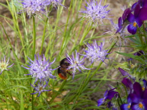 DSCN0683.JPG