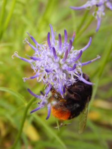 DSCN0685.JPG