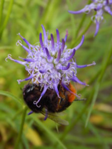 DSCN0686.JPG