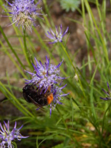 DSCN0688.JPG