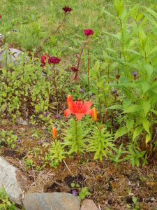 DSCN2624.JPG