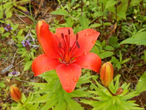 DSCN2625.JPG
