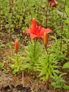 DSCN2861.JPG