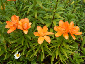 DSCN2468.JPG