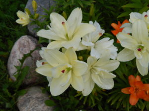 DSCN2472.JPG