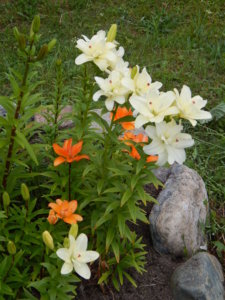 DSCN2839.JPG