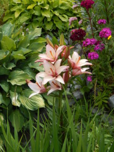 DSCN2591.JPG