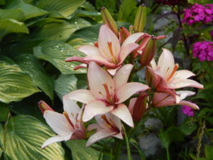 DSCN2592.JPG