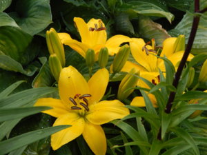 DSCN2593.JPG