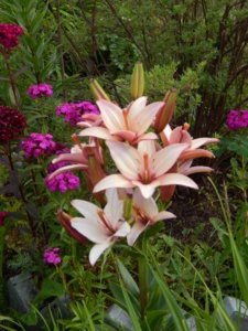 DSCN2717.JPG
