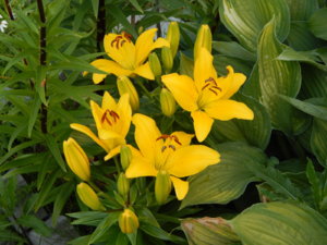 DSCN2718.JPG