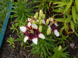 DSCN2528.JPG