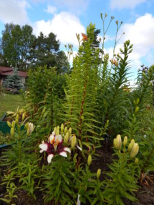 DSCN2530.JPG
