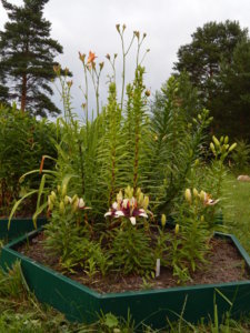 DSCN2809.JPG